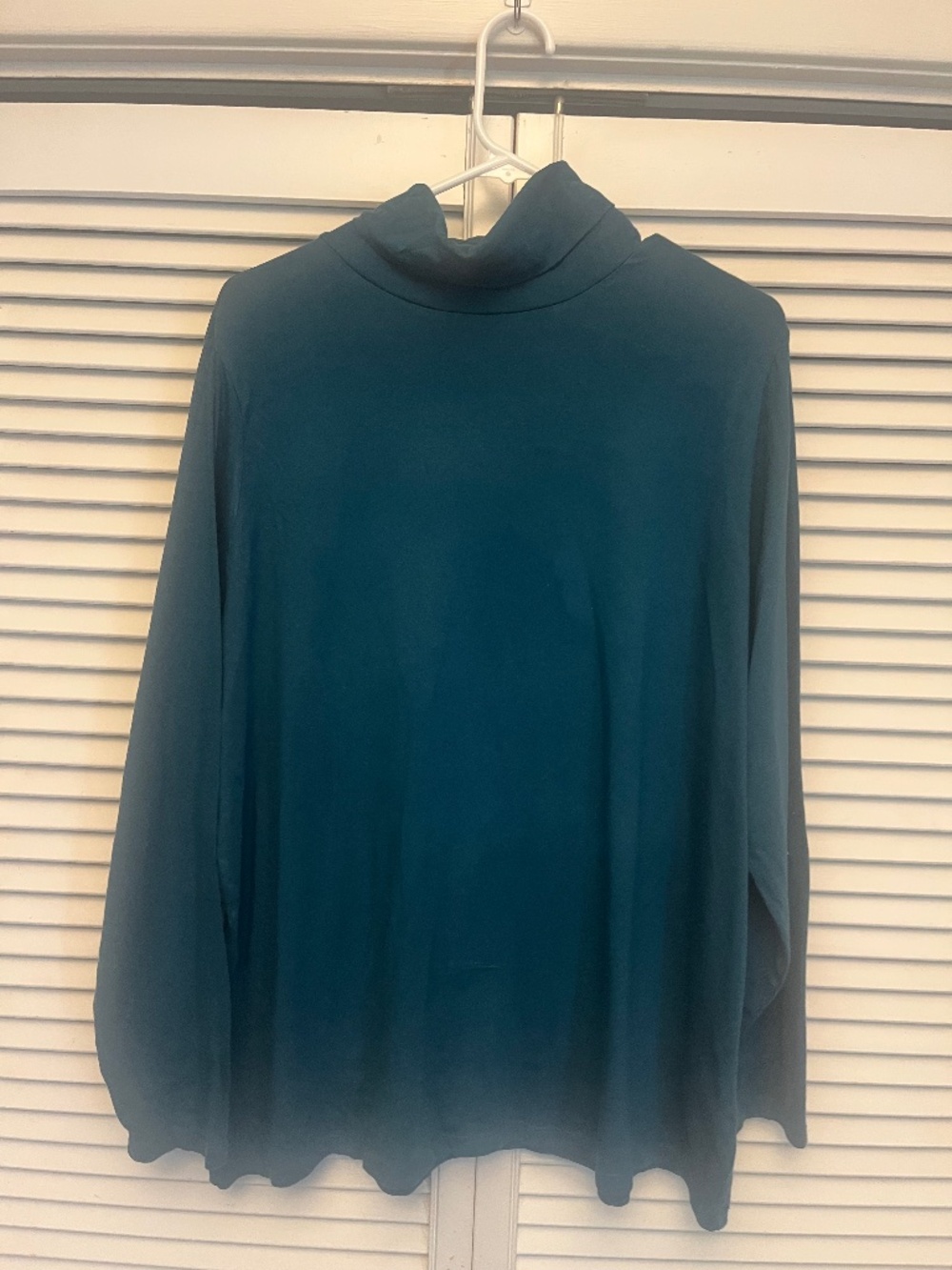 Lands End Turtleneck